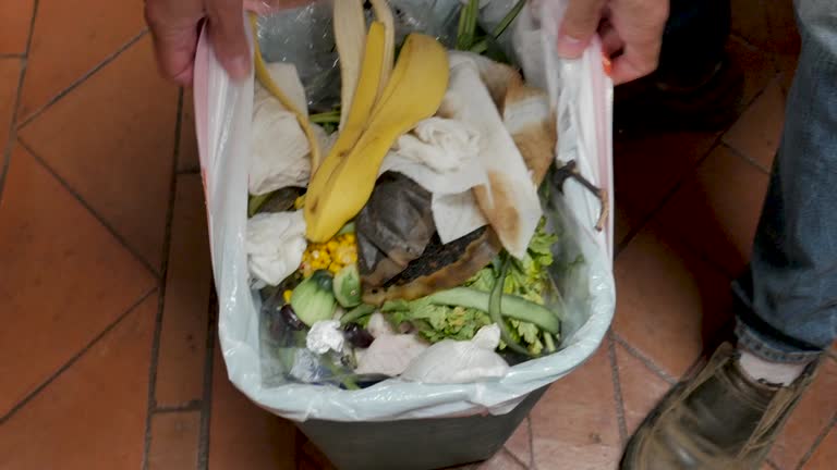 Recycling Services for Junk in York, NE